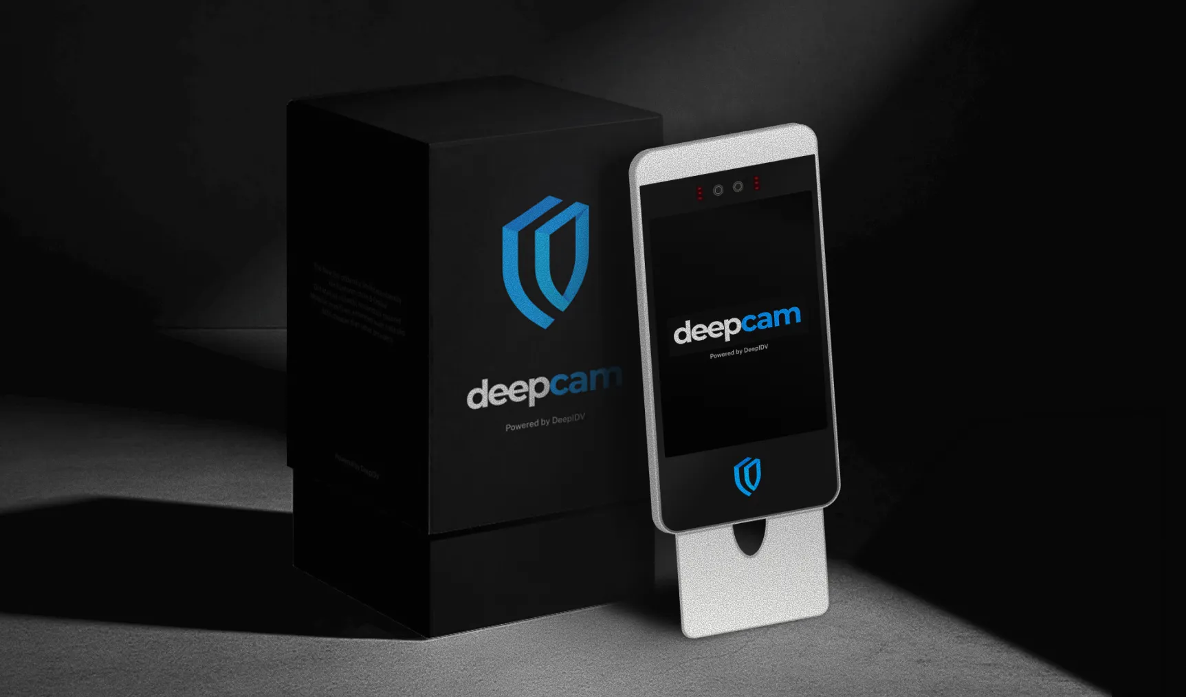 deepcam: AI-Enhanced Verification on Low-Resolution Hardware